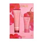 Caudalie Promo Moisturizing Duo VinoHydra Sorbet, Κρέμα Προσώπου για Βαθιά Ενυδάτωση - 60ml & ΔΩΡΟ Καθαριστικό Τζελ - 30ml (1σετ)